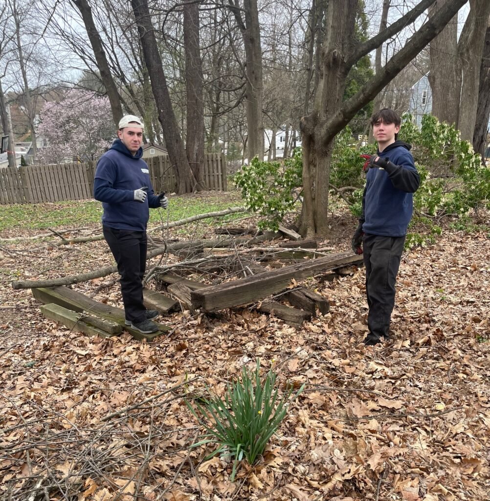 yard waste removal in wayne pa branches wood and debris being cleared from residential backyard