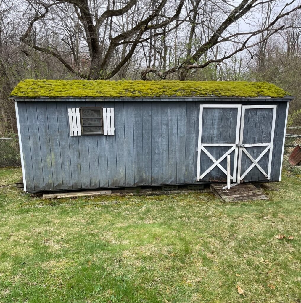 shed removal in Wayne PA outdoor storage shed before demolition and removal